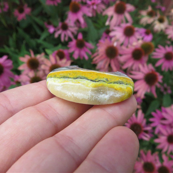 Bumble Bee Jasper Crystal Moon Cabochon Carving 1.5"