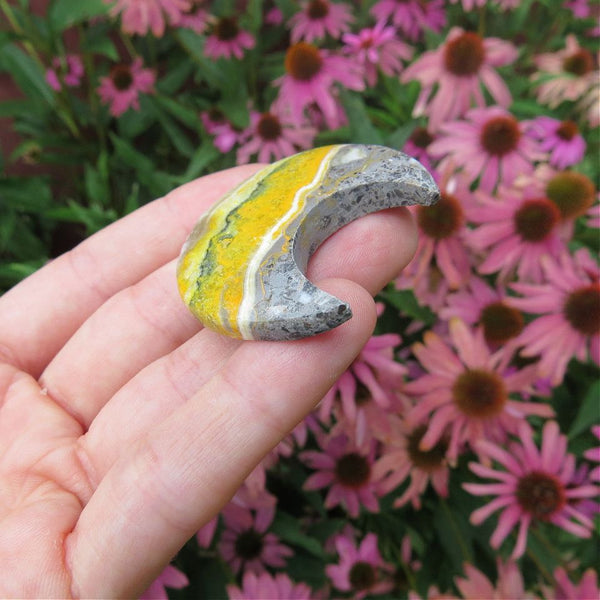 Bumble Bee Jasper Crystal Moon