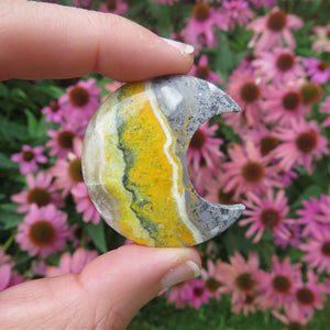 Bumble Bee Jasper Crystal Moon Carving