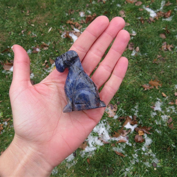 Schnauzer Crystal Dog Carving in Blue Sodalite Stone 2.25"