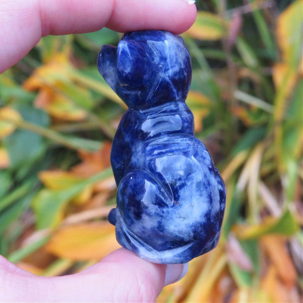 Chihuahua Crystal Dog Carving in Sodalite Stone 2"