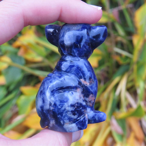 Chihuahua Crystal Dog Carving in Sodalite Stone 2"