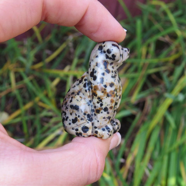 Crystal Dog Carving - Dalmation Stone Animal