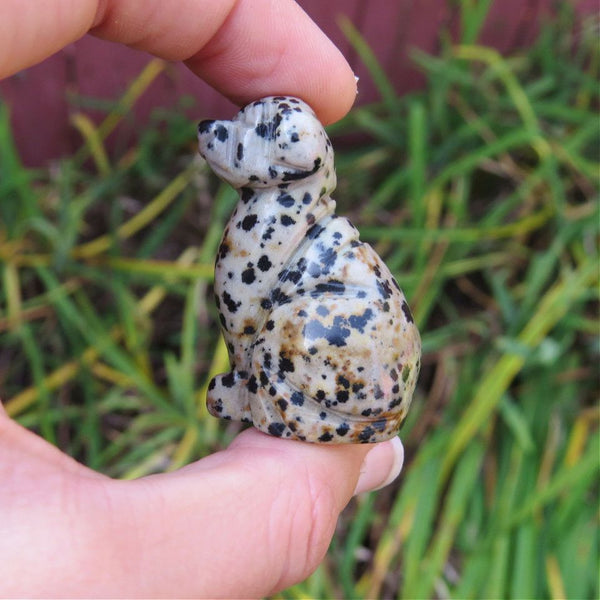 Dalmation Stone Crystal Dog Carving