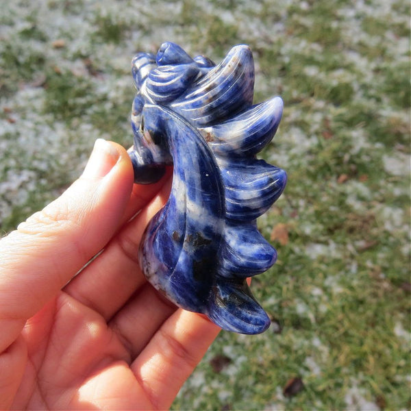 Sodalite Crystal Unicorn Stone