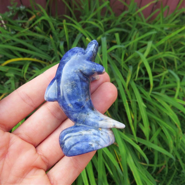 Sodalite Crystal Dolphin Stone Animal