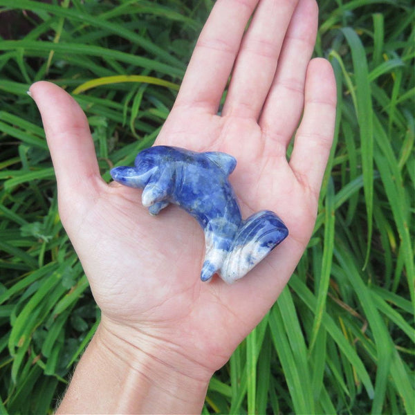 Sodalite Crystal Dolphin Figurine